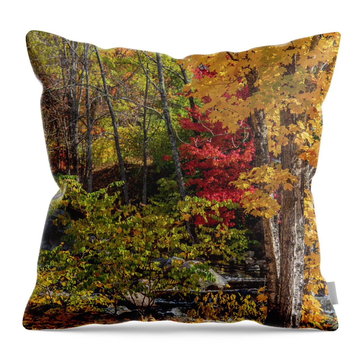 Autumn Throw Pillow featuring the photograph Autumn in Jackson New Hampshire by Michael Saunders