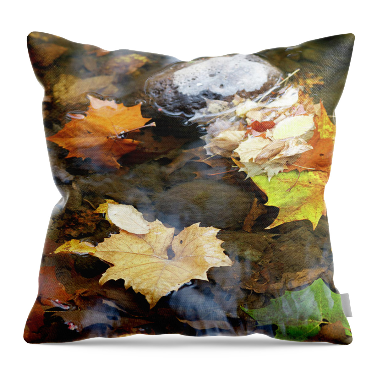 Poconos Throw Pillow featuring the photograph Autumn in the Creek by Amelia Pearn