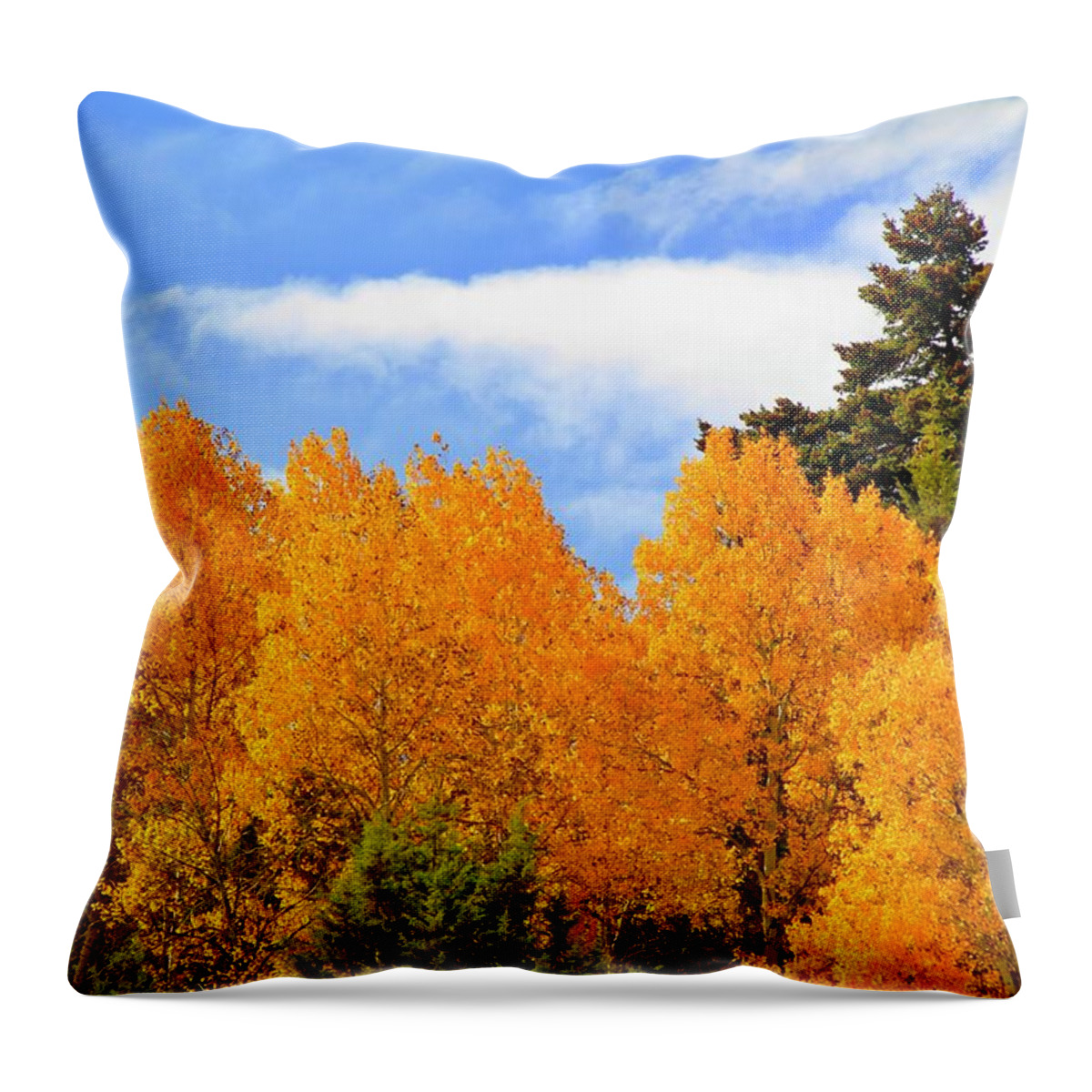 Owyhee Mountains Throw Pillow featuring the photograph Autumn in the Owyhee Mountains by Ed Riche