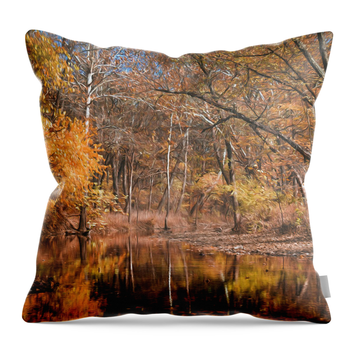 Fall Throw Pillow featuring the photograph Autumn in the Ozarks by Allin Sorenson
