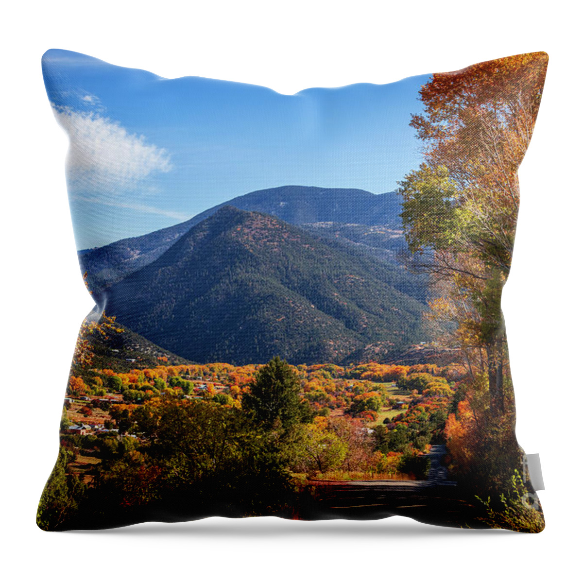 Taos Throw Pillow featuring the photograph Autumn in Valdez NM 2 by Elijah Rael