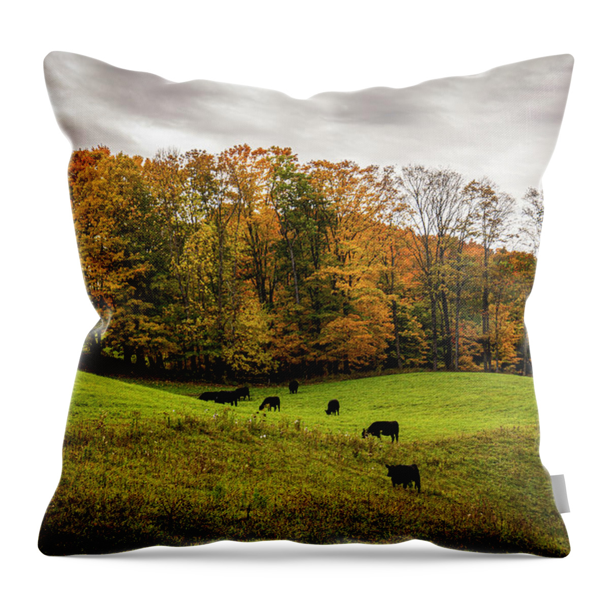 Fall Throw Pillow featuring the photograph Autumn in Vermont in the Woodstock Countryside 4 by Ron Long Ltd Photography