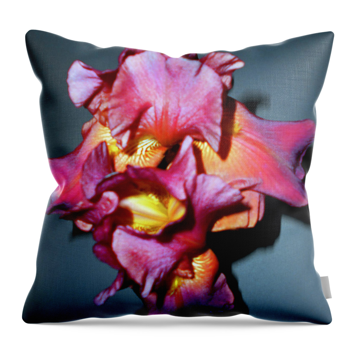 Iris Throw Pillow featuring the photograph Autumn Iris 5 by Ron Kandt