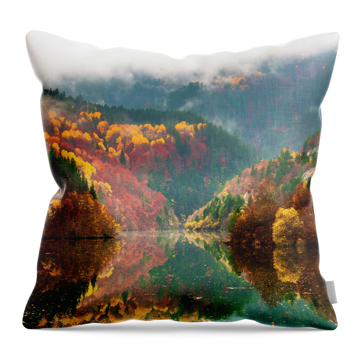 Forest Throw Pillow featuring the photograph Autumn Lake by Evgeni Dinev