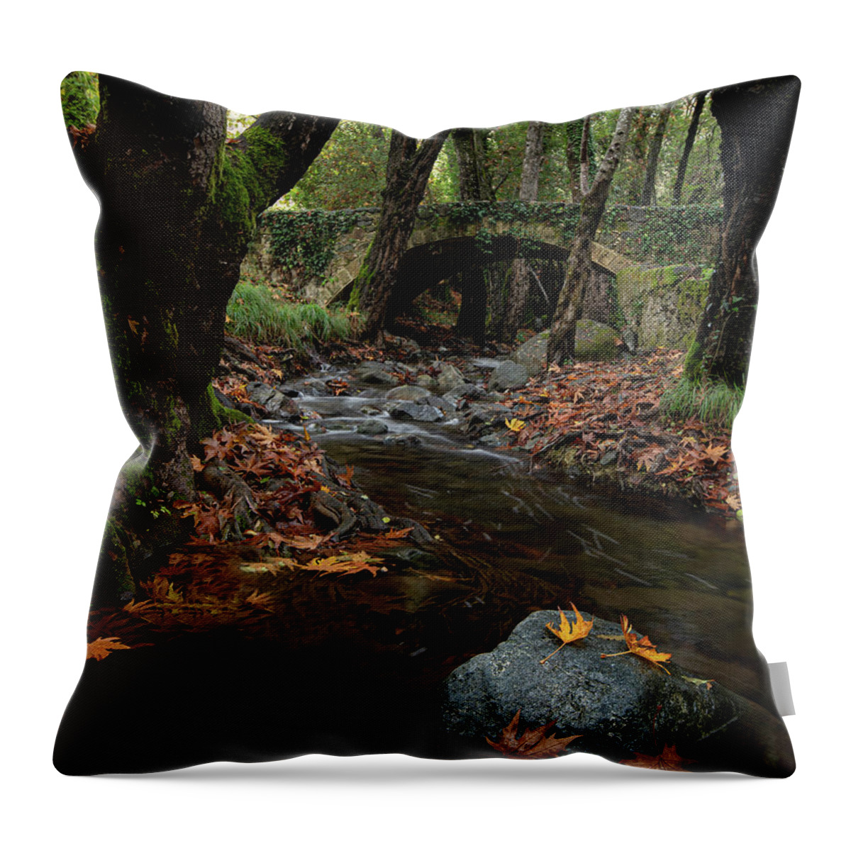 Autumn Throw Pillow featuring the photograph Autumn landscape with river flowing below a stoned ancient bridge by Michalakis Ppalis