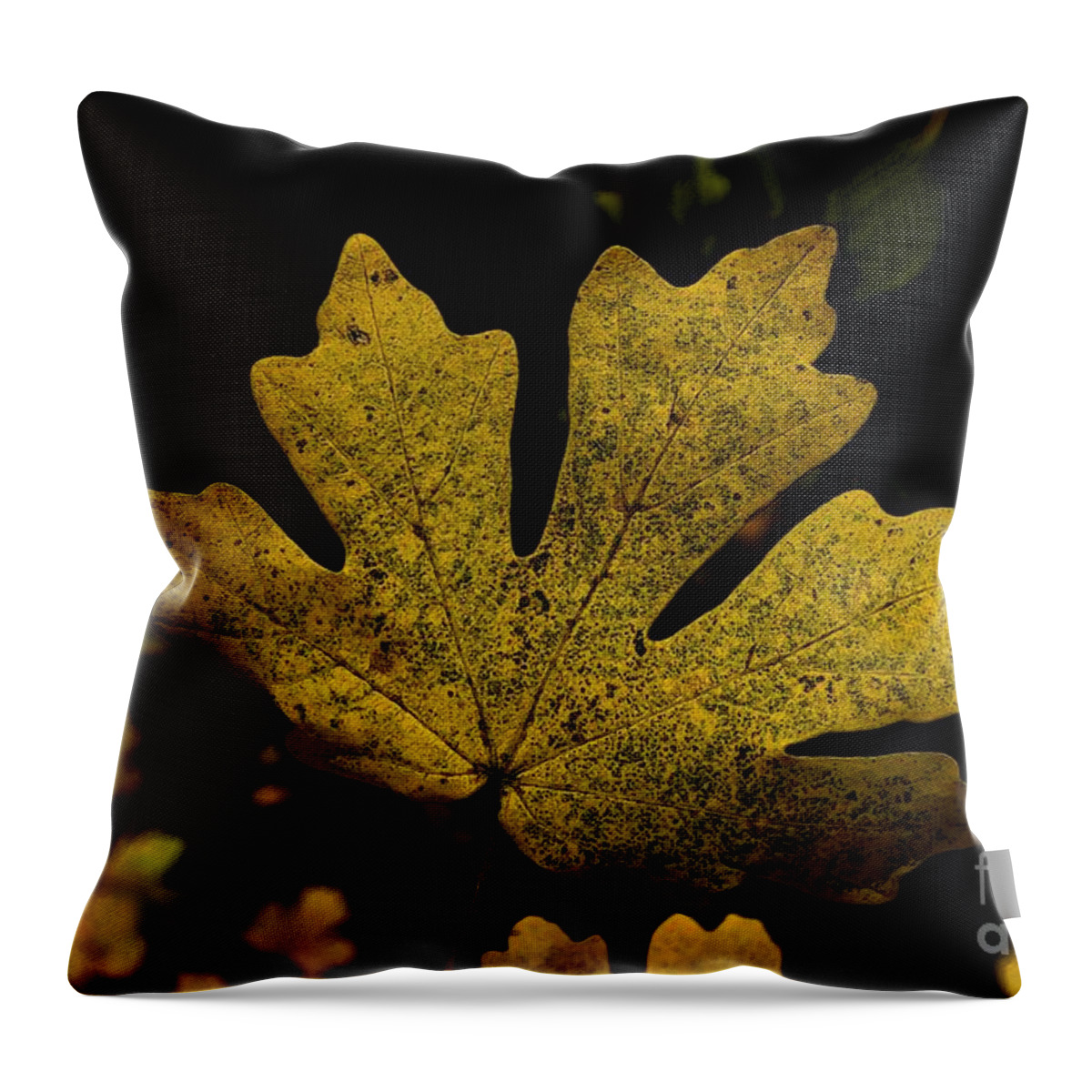 Digital Art Throw Pillow featuring the photograph Autumn Leaves 25 by Jean Bernard Roussilhe
