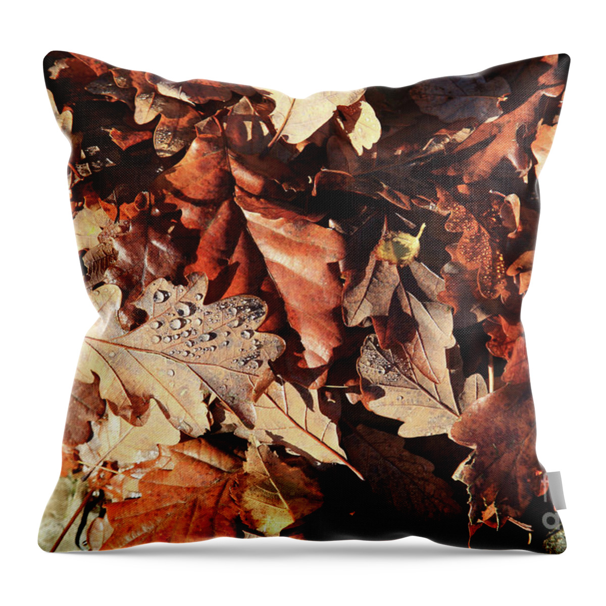 Leaves Throw Pillow featuring the photograph Autumn leaves and dewdrops by Bryan Attewell