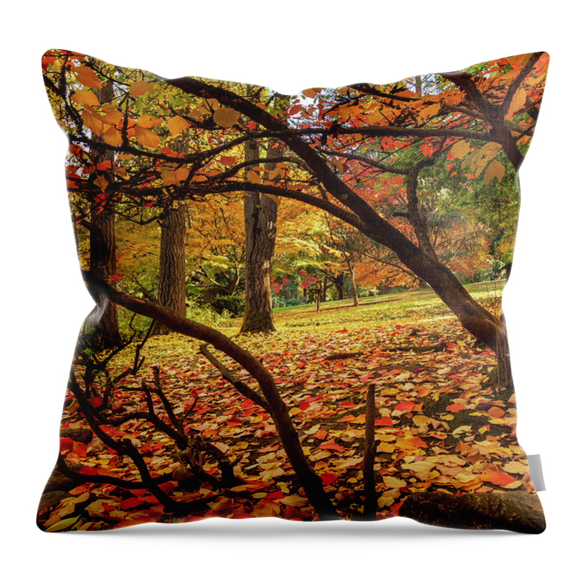 Autumn Throw Pillow featuring the photograph Autumn Leaves In Ashland by James Eddy