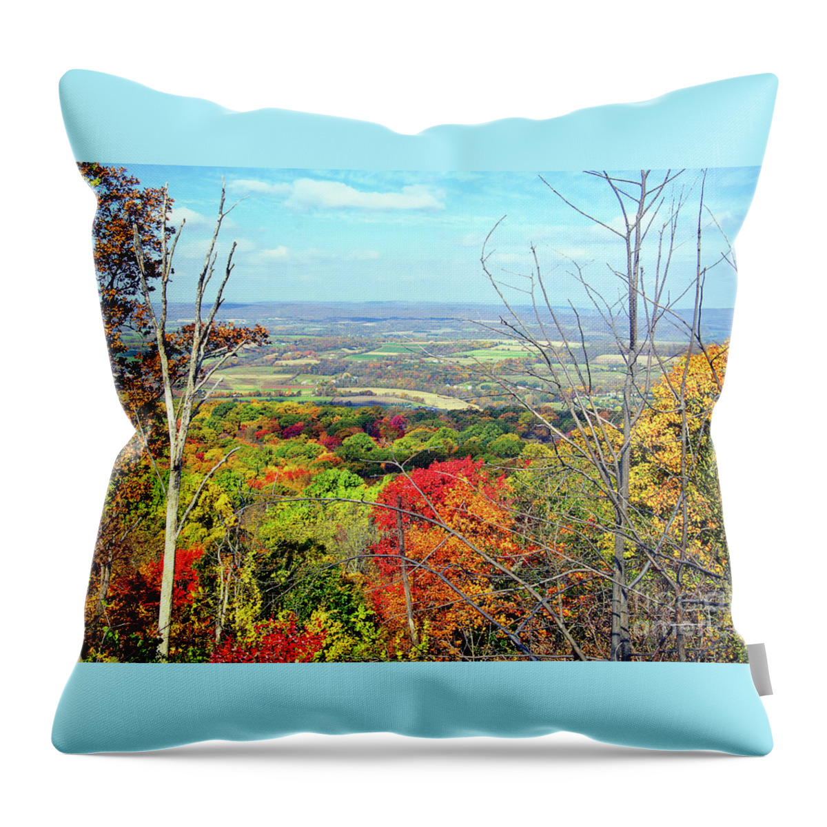 Fall Throw Pillow featuring the photograph Autumn Magic by Geoff Crego