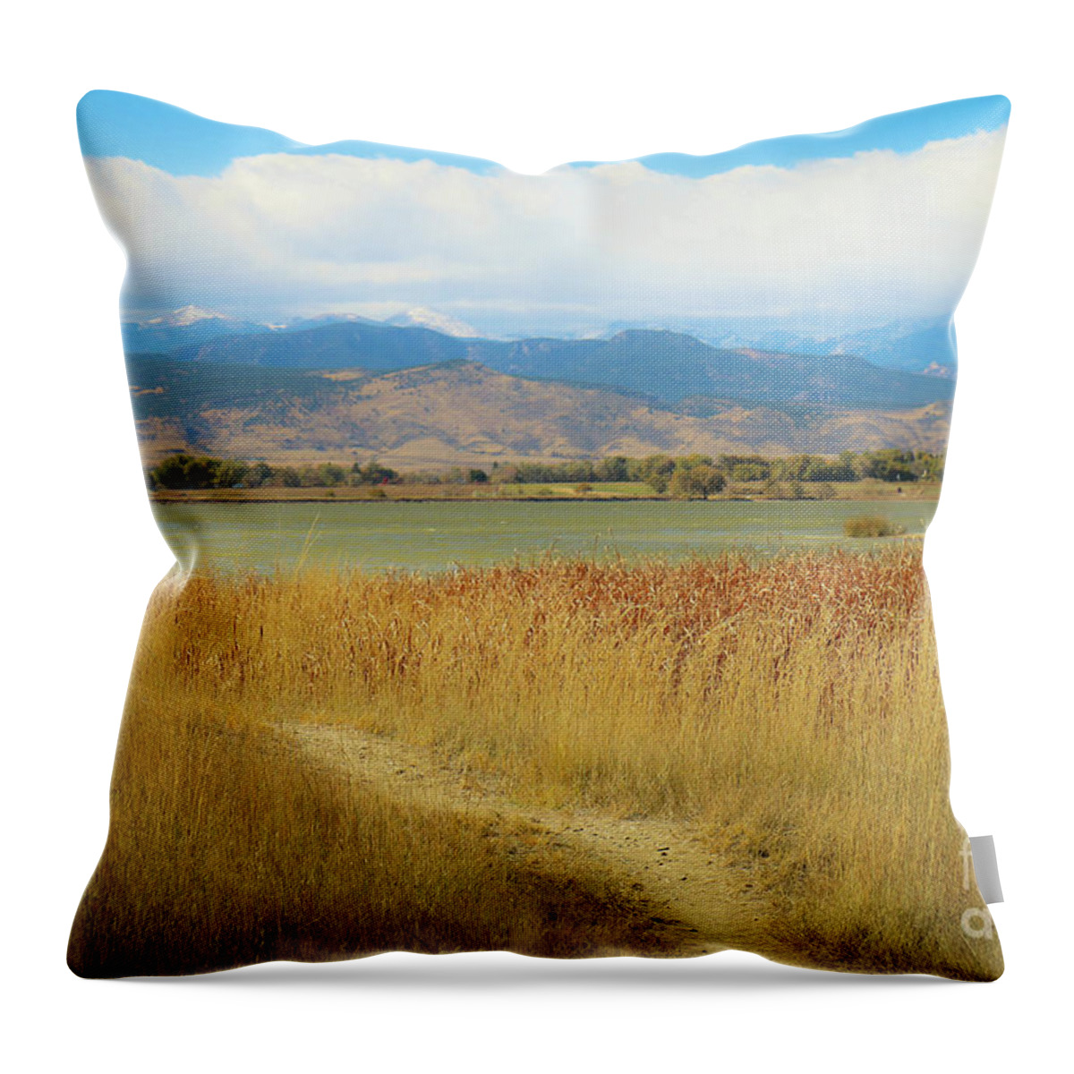Colorado Throw Pillow featuring the photograph Autumn McIntosh Lake by Veronica Batterson