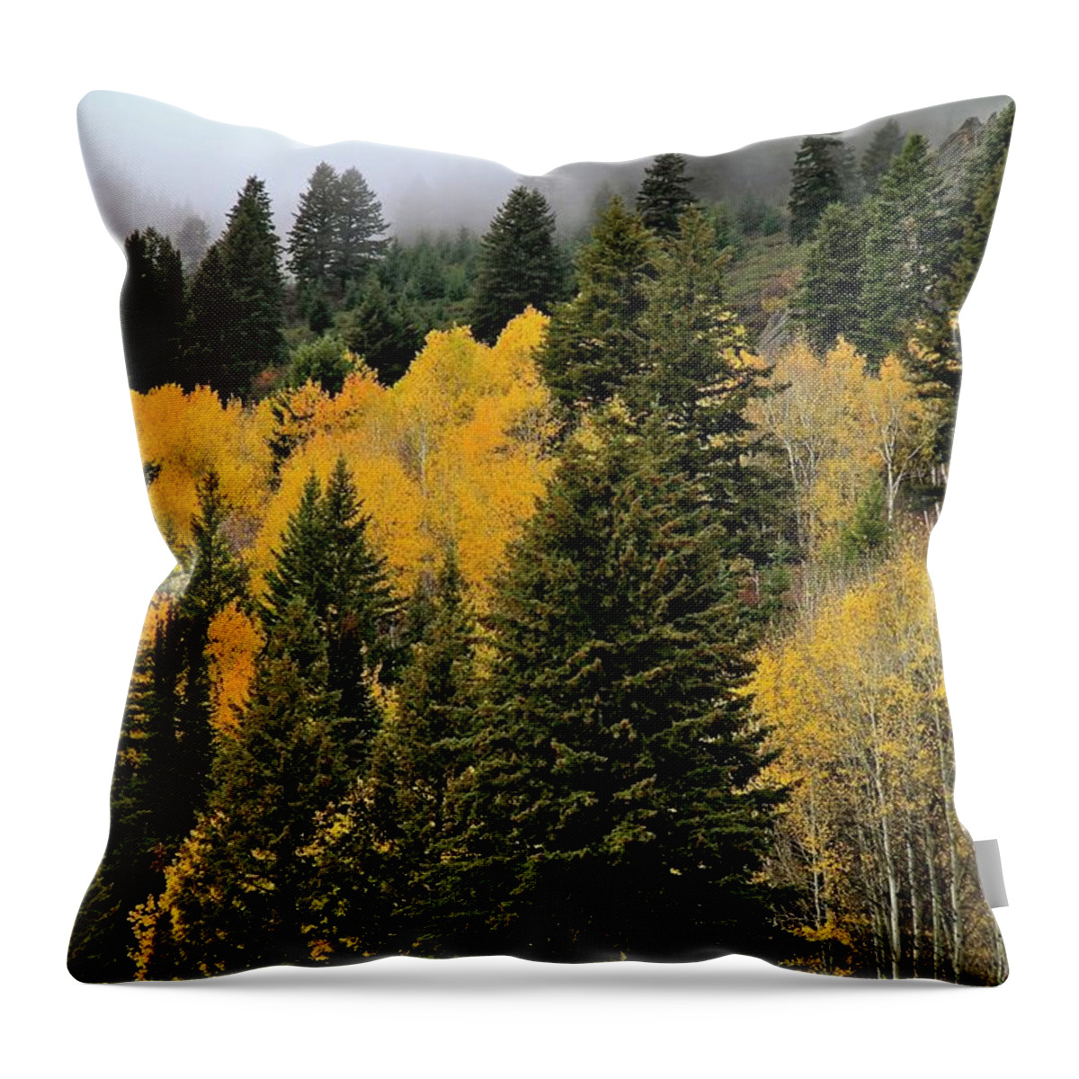 Owyhee Mountains Throw Pillow featuring the photograph Autumn Mist Owyhee Mountains by Ed Riche
