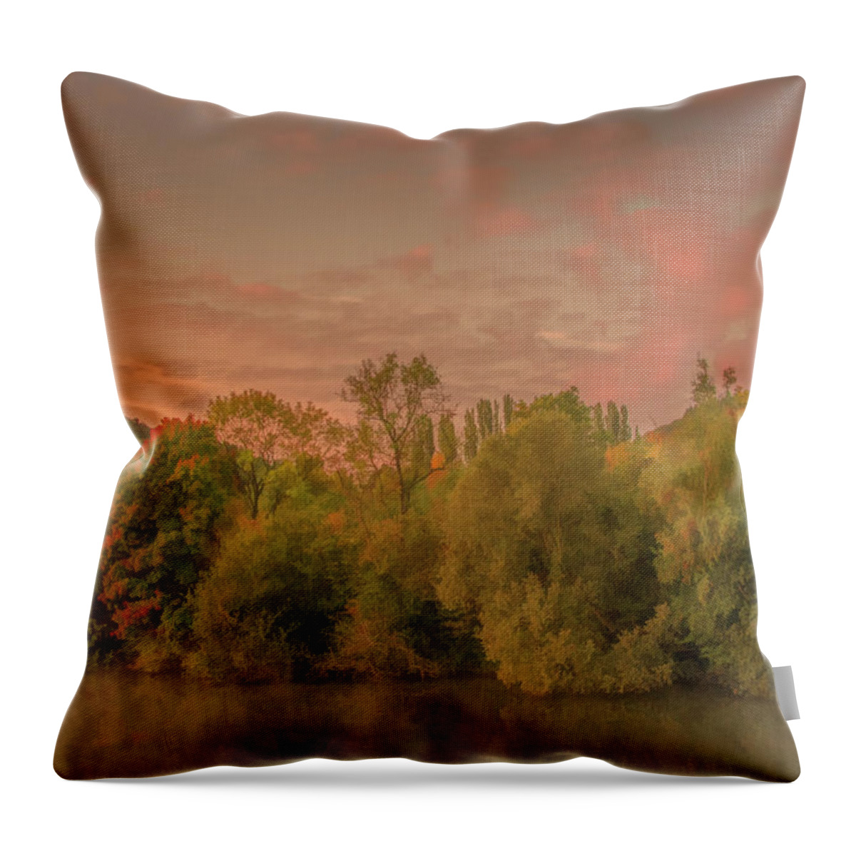 France Throw Pillow featuring the photograph Autumn Morning Along the Shore of the River Seine by Marcy Wielfaert