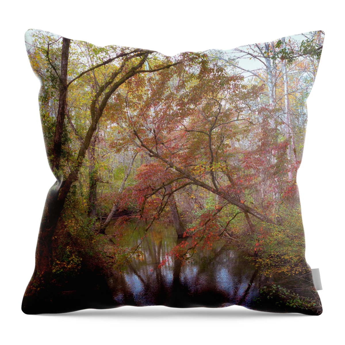 Smoky Mountains Throw Pillow featuring the photograph Autumn on Abrams Creek - Cades Cove by Susan Rissi Tregoning