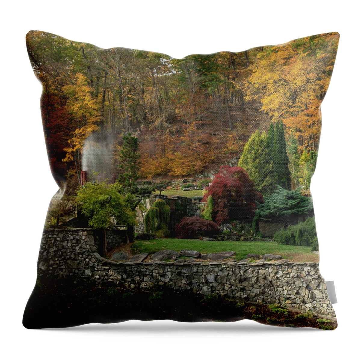 Autumn Throw Pillow featuring the photograph Autumn on the Mountainside by Sylvia Goldkranz
