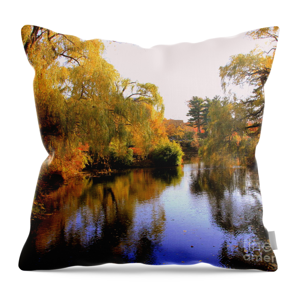 Fall Throw Pillow featuring the photograph Autumn on the river by Lennie Malvone