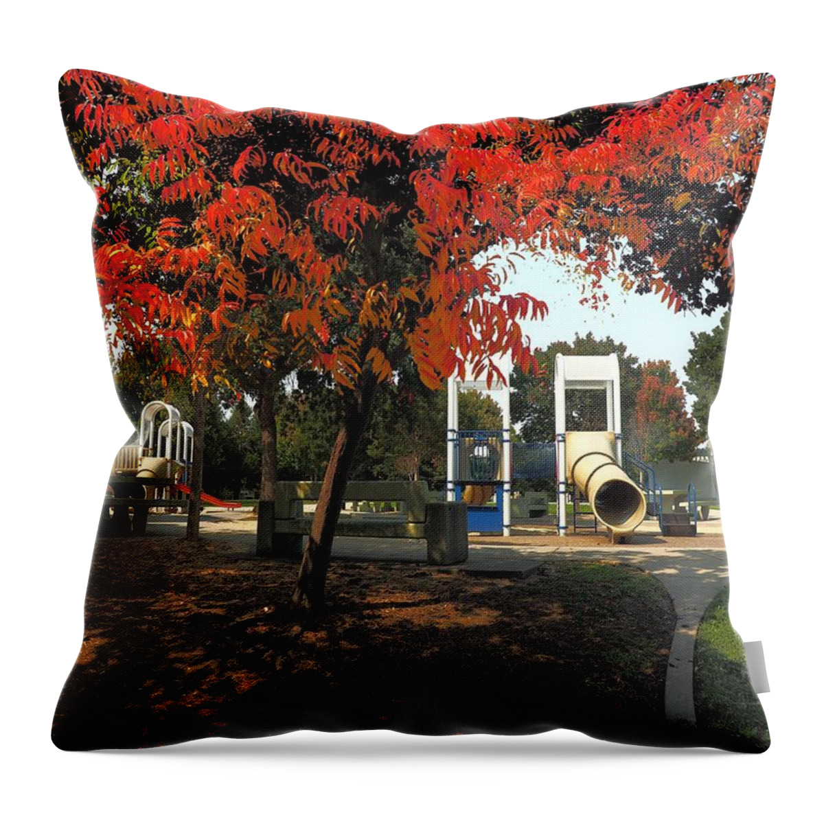 Digital Painting Throw Pillow featuring the photograph Autumn Park Diversity by Richard Thomas
