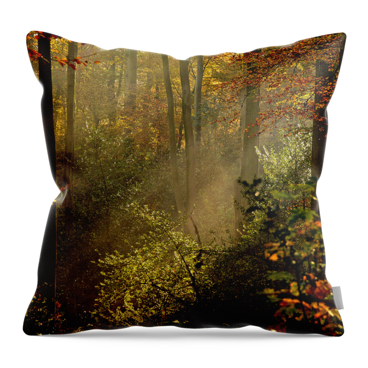 November Throw Pillow featuring the photograph Autumn Rays 2021 by Richard Cummings