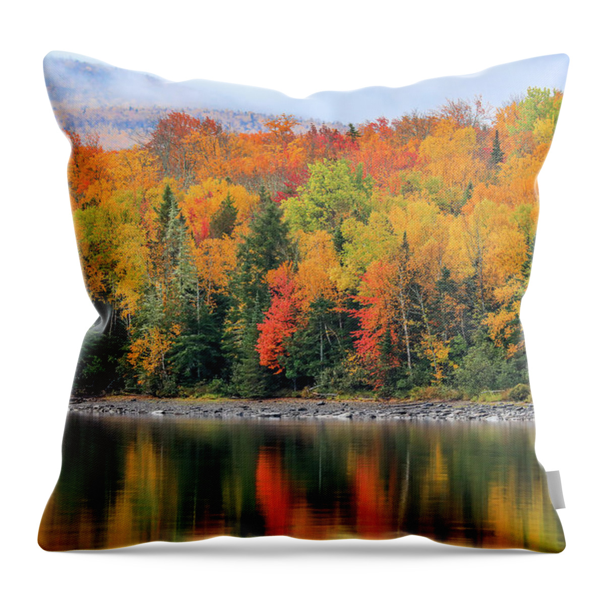 Kokadjo Maine Throw Pillow featuring the photograph Autumn Reflections In Kokadjo by Dan Sproul