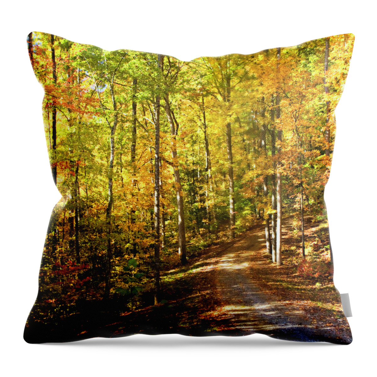 Color Throw Pillow featuring the photograph Autumn Road by Alan Hausenflock