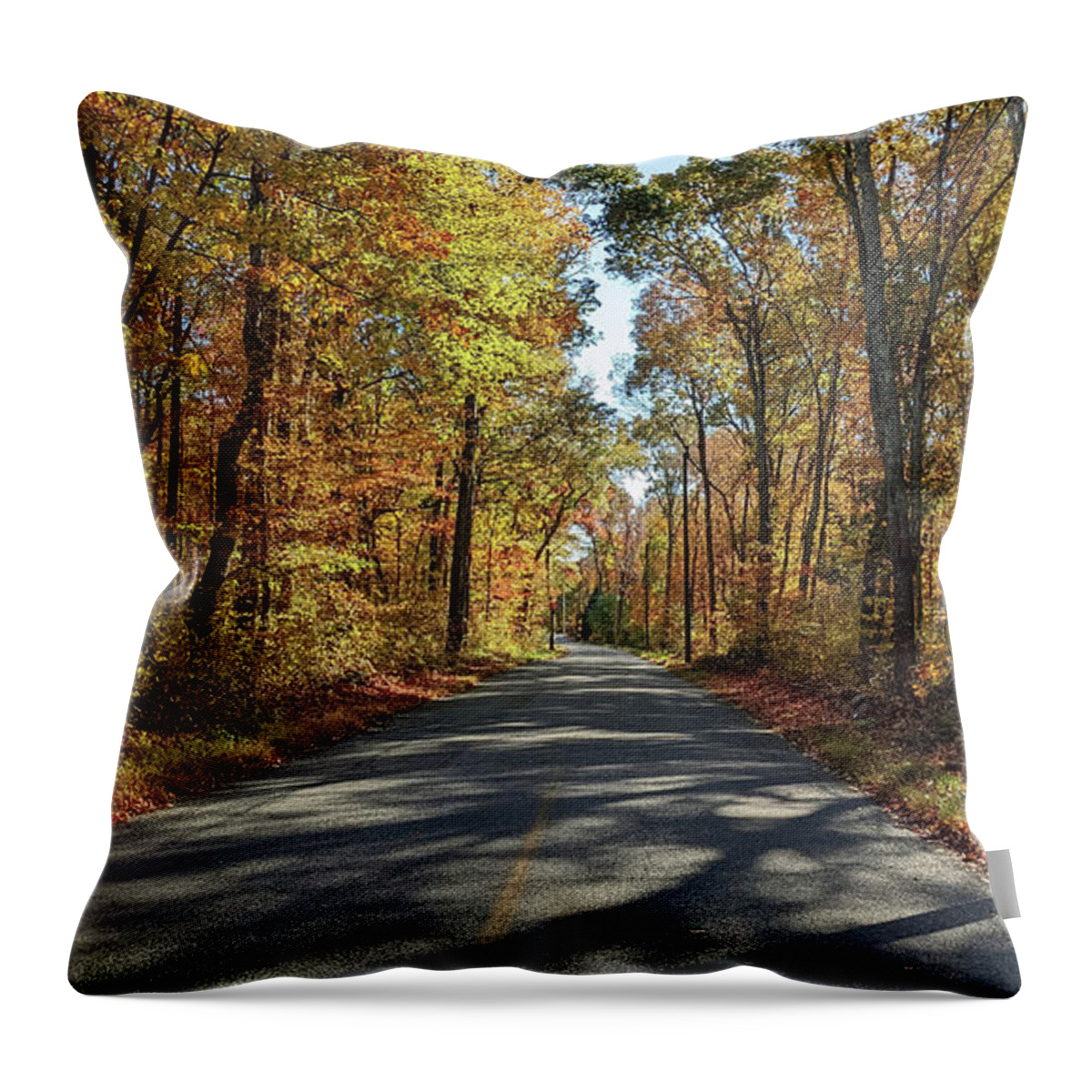 Autumn Throw Pillow featuring the photograph Autumn Road - North Stonington CT by Kirkodd Photography Of New England