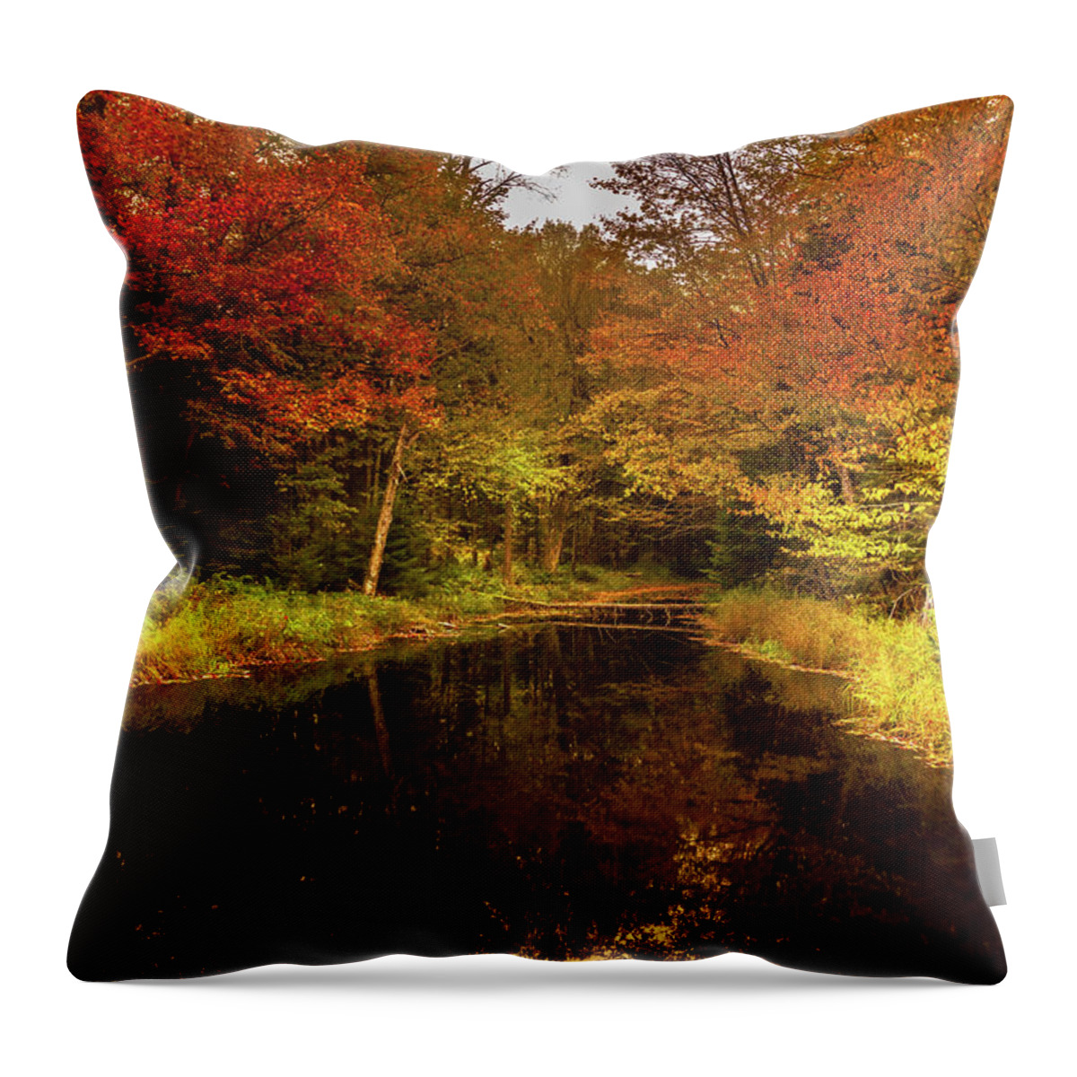 Autumn Stream Throw Pillow featuring the photograph Autumn Stream by David Patterson