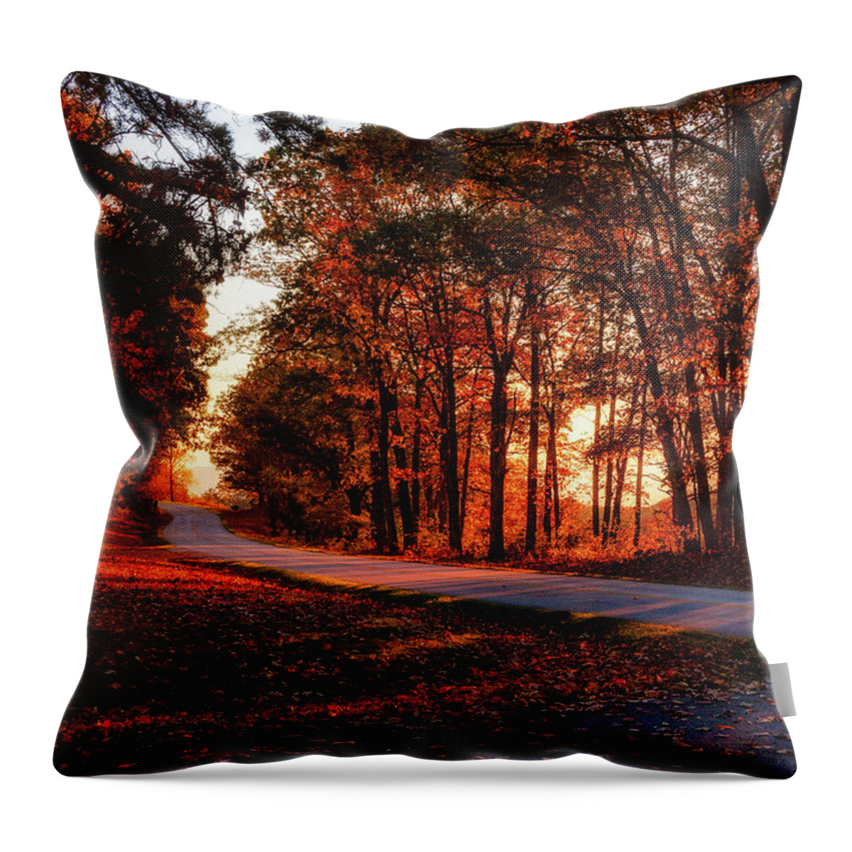Fall Throw Pillow featuring the photograph Autumn Sunset Through the Trees by Dan Carmichael