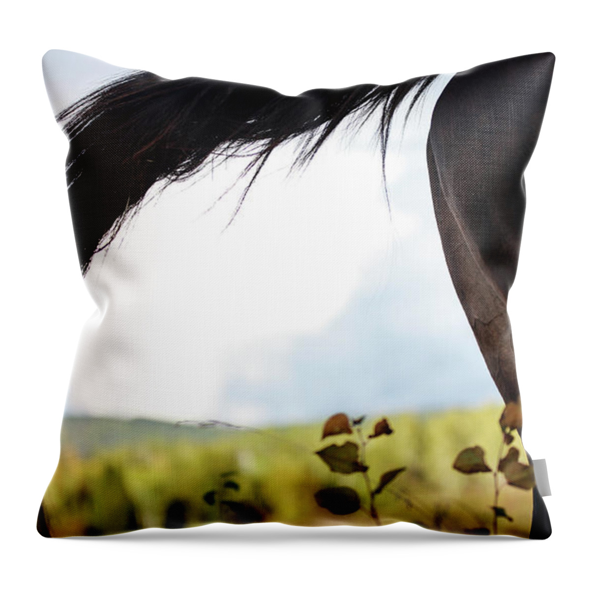 Horse Throw Pillow featuring the photograph Autumn Tail by Listen To Your Horse