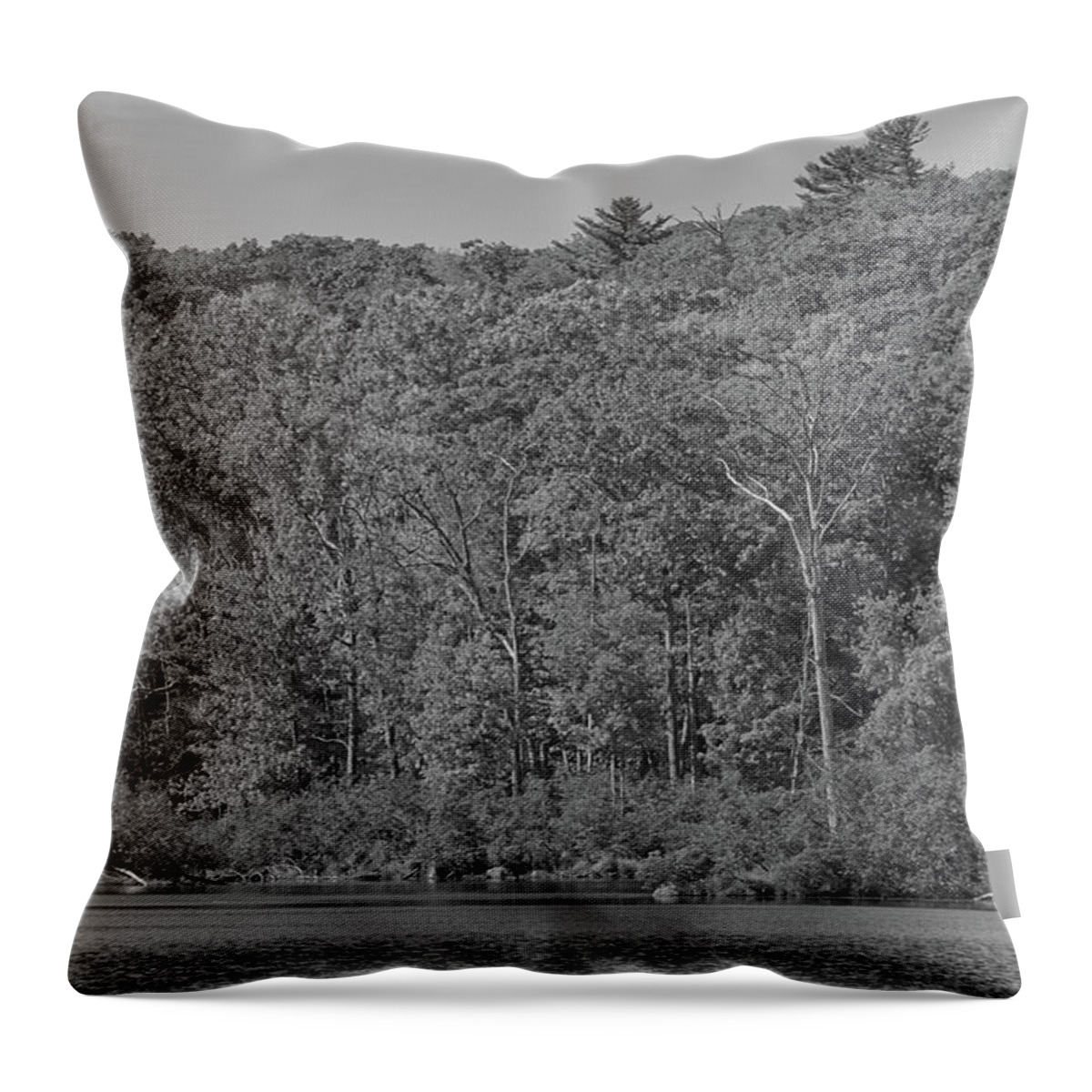 Black And White Throw Pillow featuring the photograph Autumn Trees along the Lake by Alan Goldberg