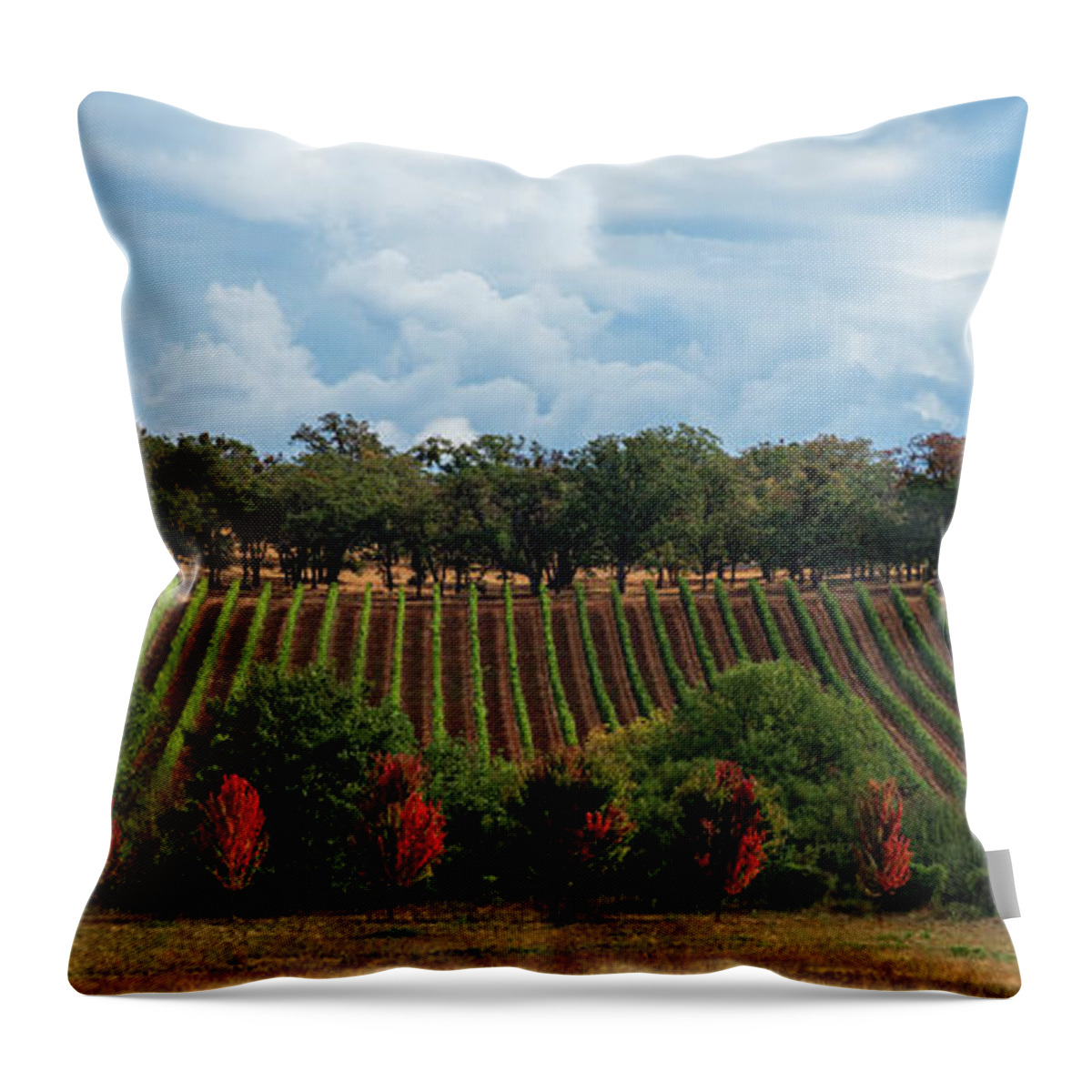 Vineyard Throw Pillow featuring the photograph Autumn Vines by Dan McGeorge