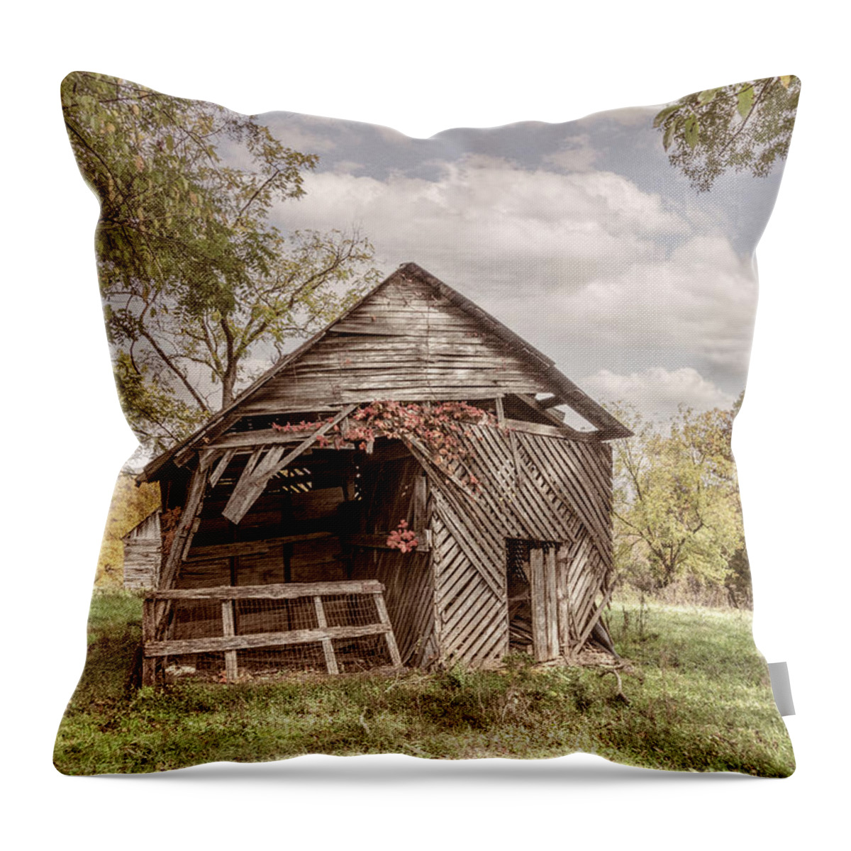 Andrews Throw Pillow featuring the photograph Autumn Vines on the Barn in Farmhouse Tones by Debra and Dave Vanderlaan