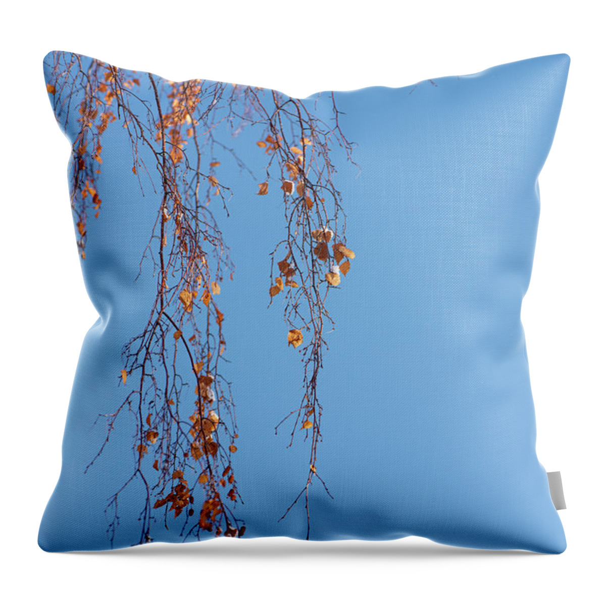 Autumn Throw Pillow featuring the photograph Autumn Weeping Birch by Phil And Karen Rispin