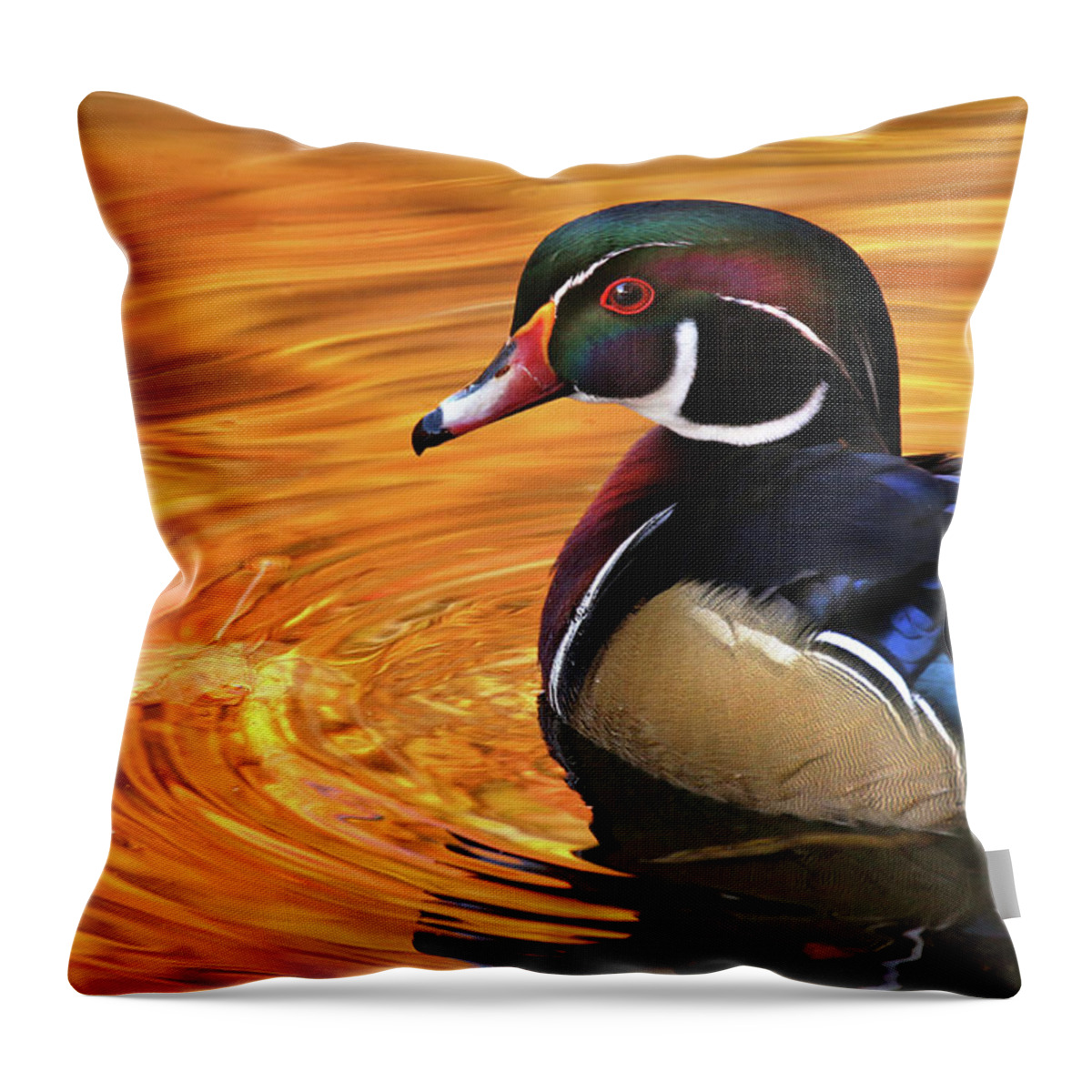  Throw Pillow featuring the photograph Autumn Wood Duck by Rob Blair