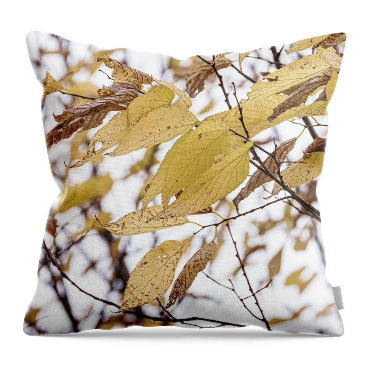 Autumn Yellow Leaves Throw Pillow featuring the photograph Autumn Yellow Leaves by David Morehead