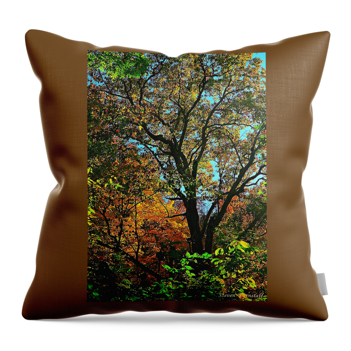 Forest Throw Pillow featuring the photograph Autumnal Bliss by Steve Warnstaff