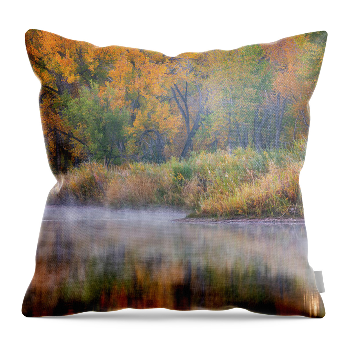 Pond Throw Pillow featuring the photograph Autumn's Canvas by Darren White