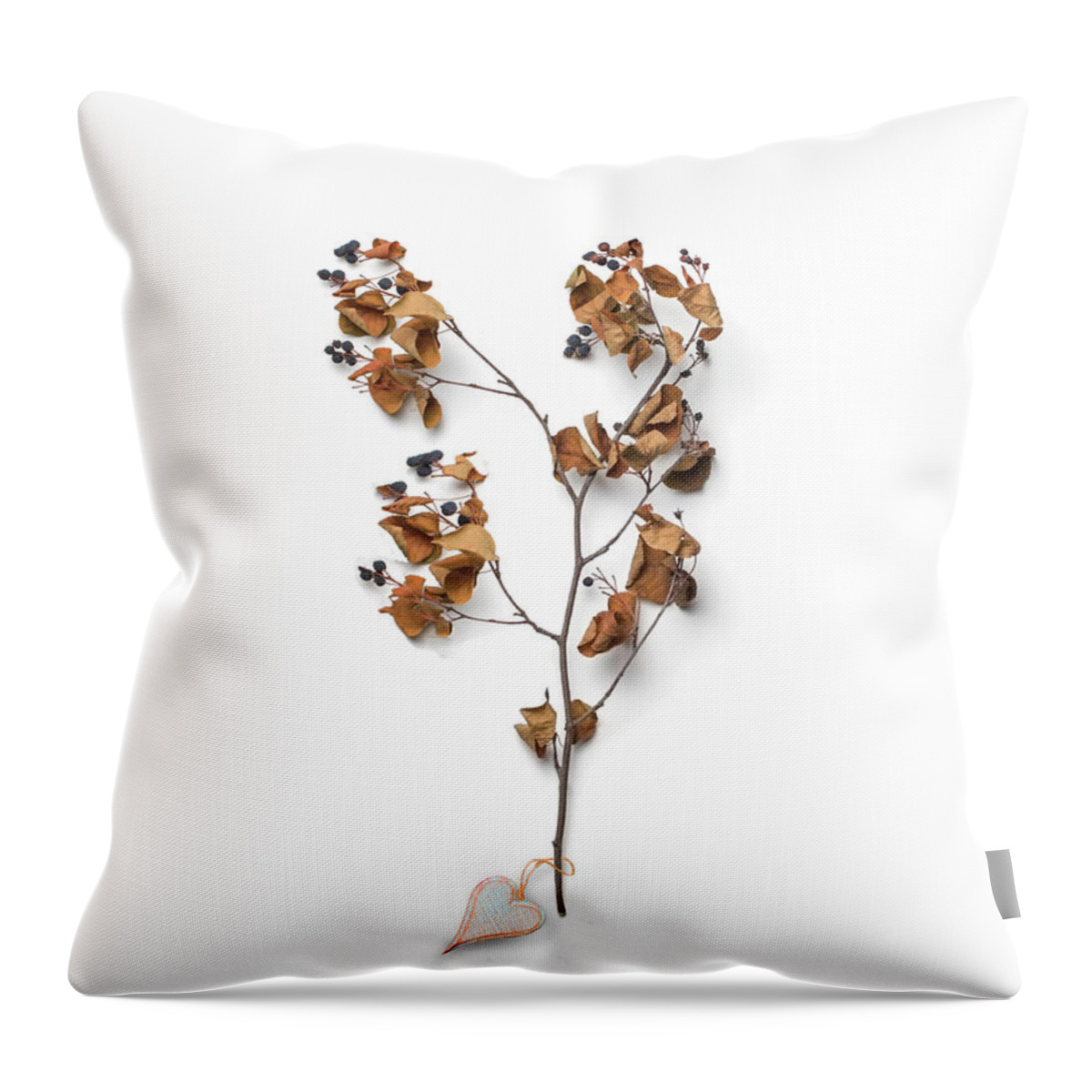 Mountains Throw Pillow featuring the photograph Autumn's Heart by Debra and Dave Vanderlaan