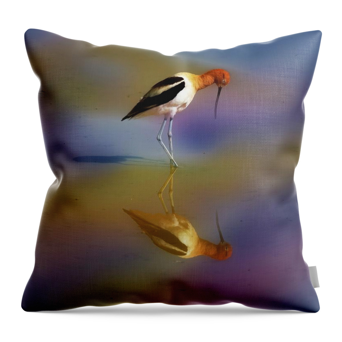 Americanavocet Throw Pillow featuring the photograph Avocet Reflection by Pam Rendall