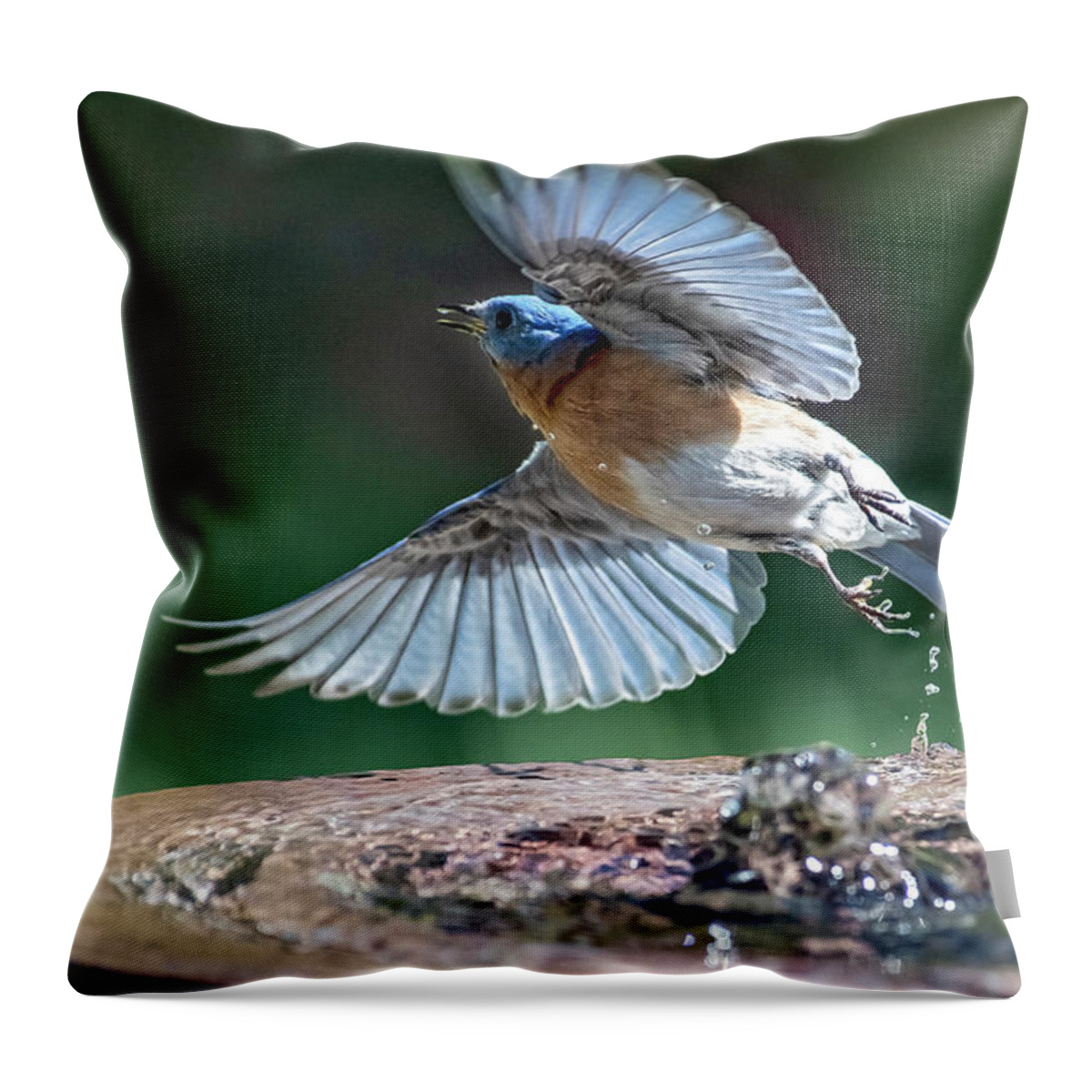 Bluebird Throw Pillow featuring the photograph Away by Carol Erikson