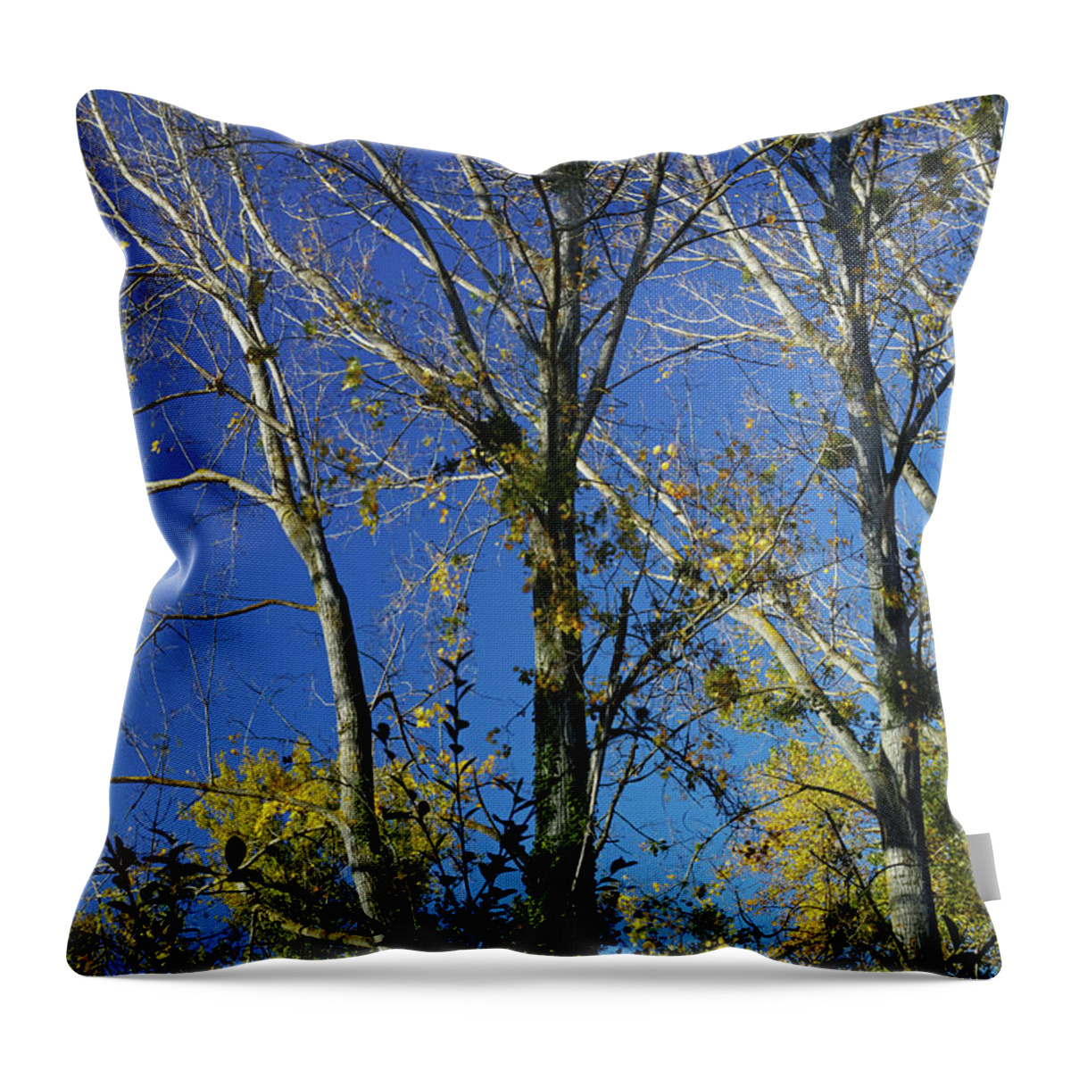 Landscape Throw Pillow featuring the photograph Azure blue by Karine GADRE
