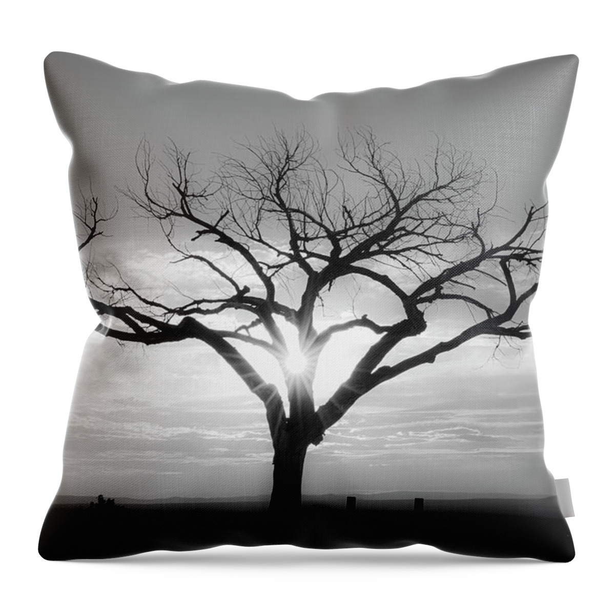 Taos Throw Pillow featuring the photograph B and W shot of the Taos Welcom Tree by Elijah Rael
