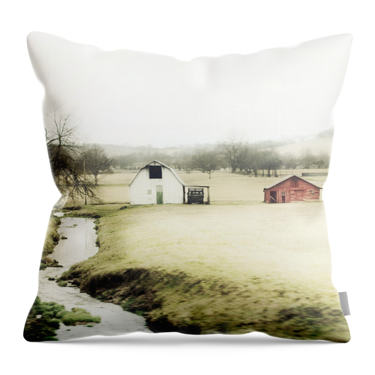 Barn Throw Pillow featuring the photograph Babbling Brook by Julie Hamilton