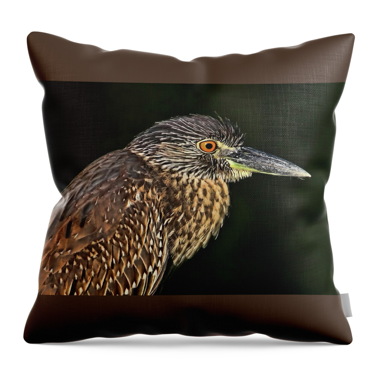 Yellow-crowned Night Heron Throw Pillow featuring the photograph Baby Face - Yellow-crowned Night Heron by HH Photography of Florida
