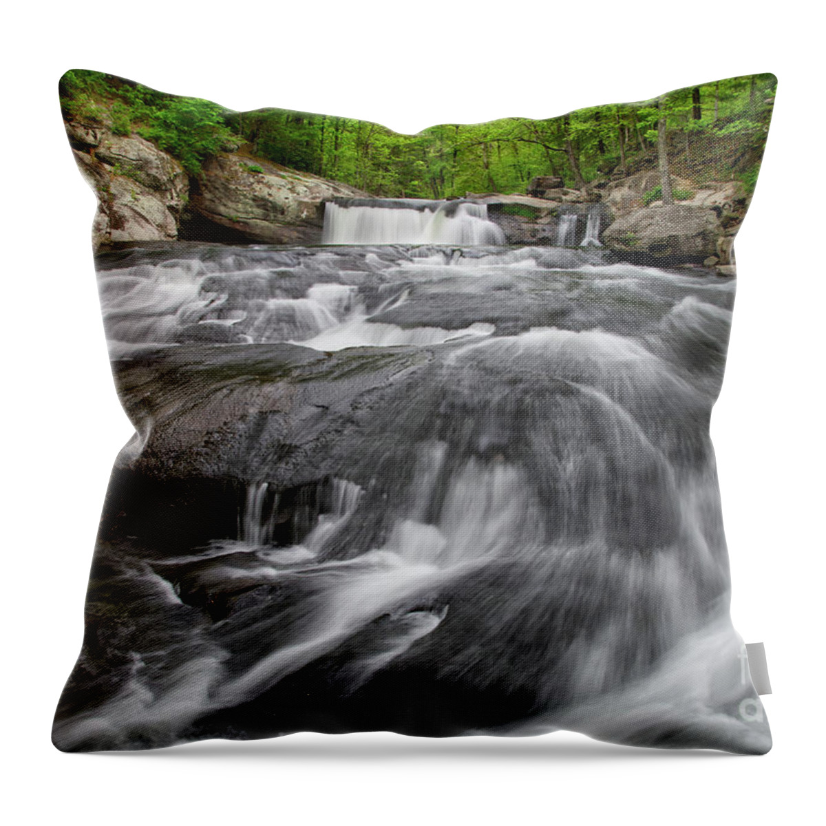 Baby Falls Throw Pillow featuring the photograph Baby Falls 19 by Phil Perkins