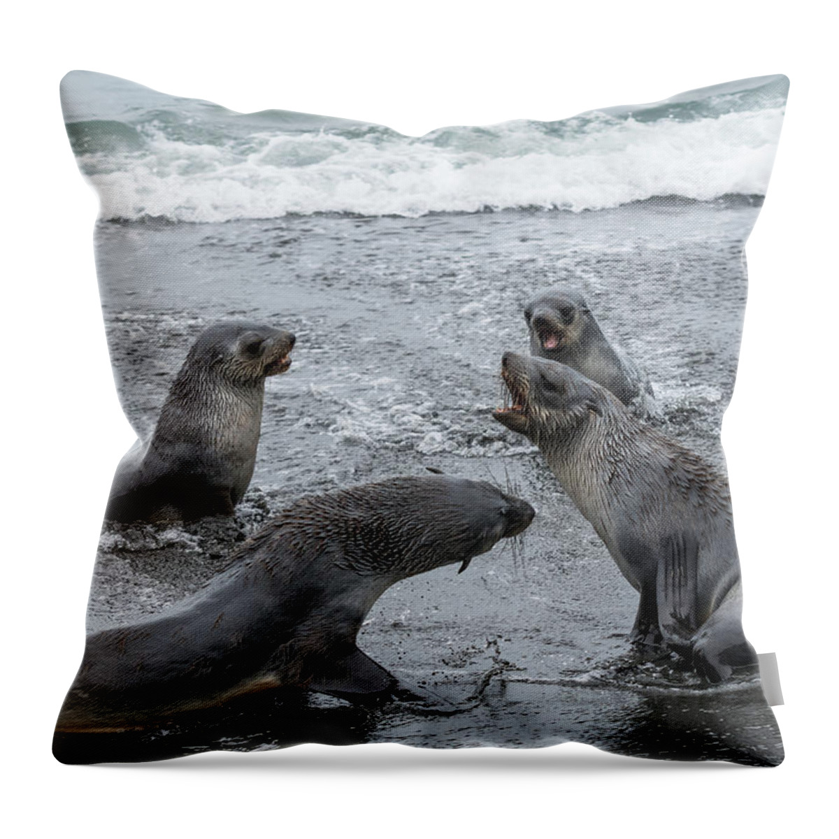 Sea Lion Throw Pillow featuring the photograph Baby Sea Lions Playing in the Surf by Linda Villers
