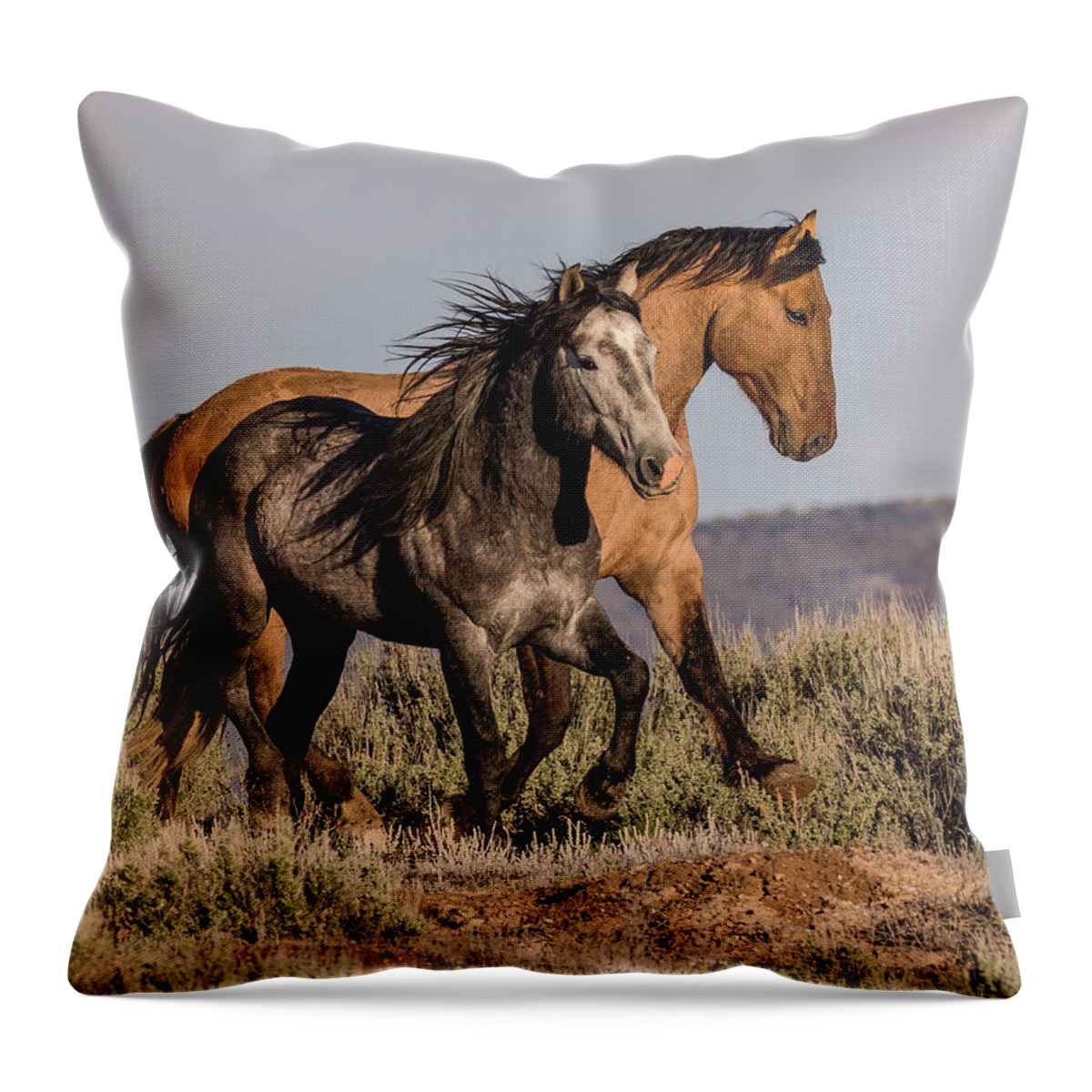 Wild Throw Pillow featuring the photograph Bachelor Buddies by Dawn Key