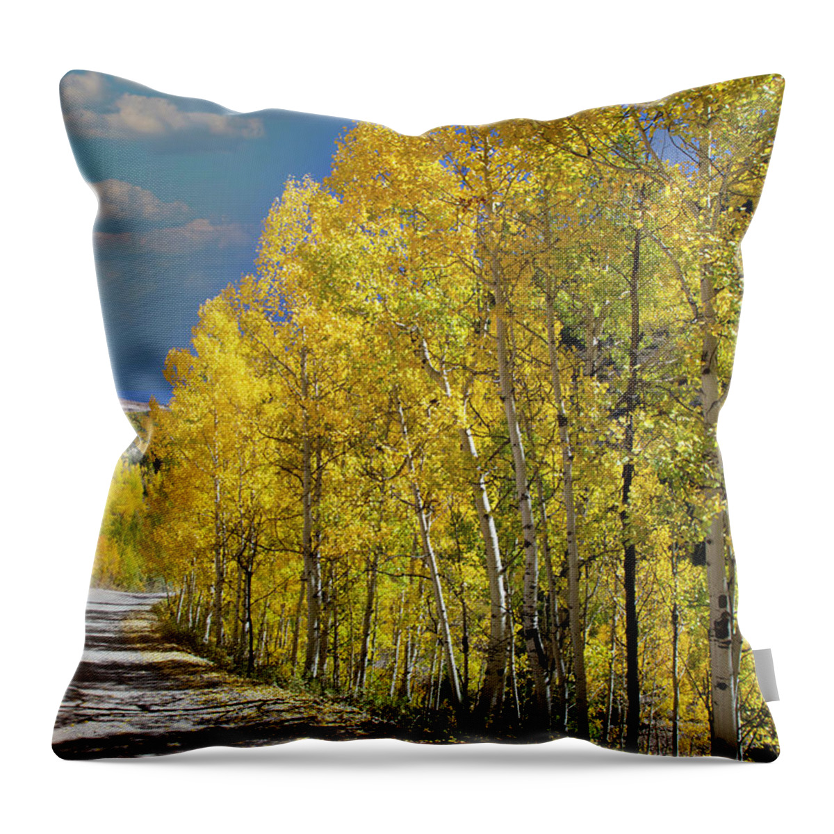 Nature Throw Pillow featuring the photograph Backlit Aspens by Steve Templeton