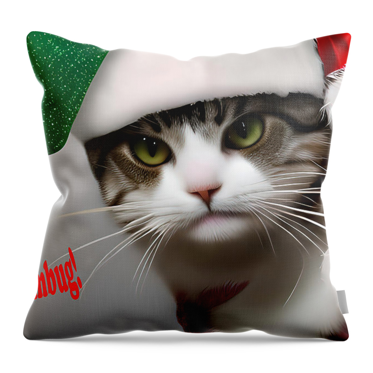 Cat Throw Pillow featuring the photograph Bah humbug by Floyd Snyder