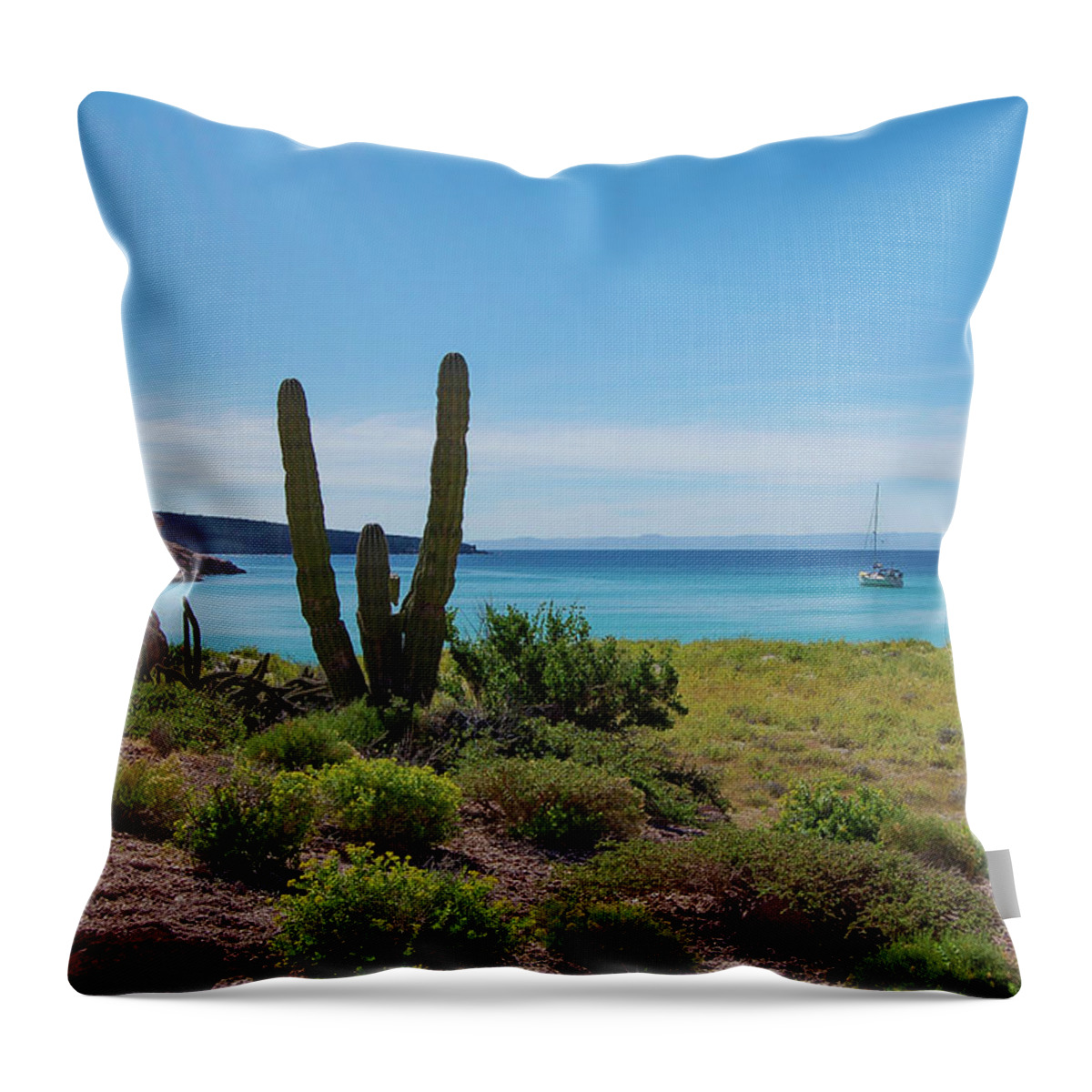 Bahia Ensenada Throw Pillow featuring the photograph Bahia Ensenada by William Scott Koenig