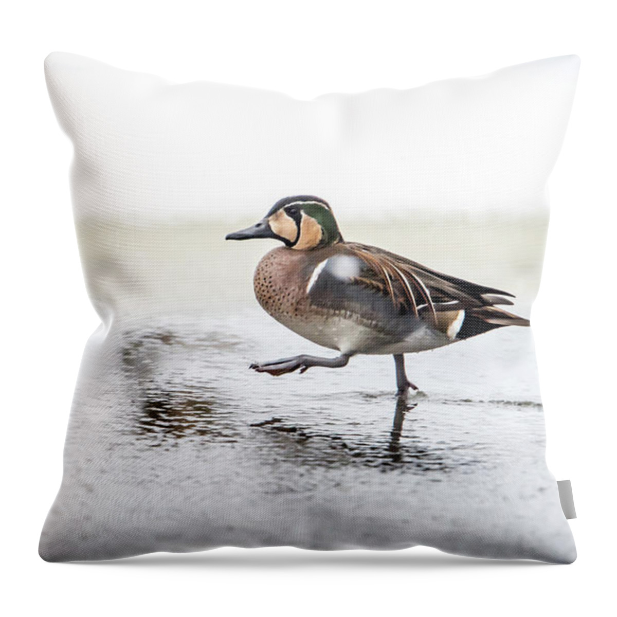 Baikal Teal Throw Pillow featuring the photograph Baikal Teal, the beautiful and rare visitor in Sweden, walks wit by Torbjorn Swenelius