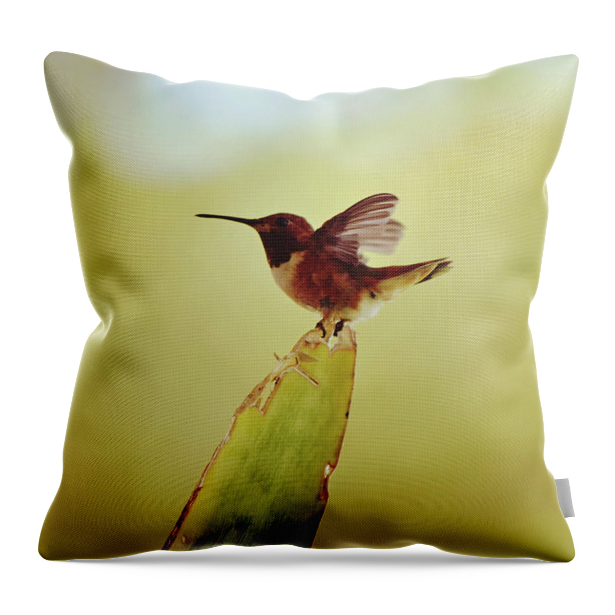 Hummingbird Throw Pillow featuring the photograph Balancing Act Hummingbird on Snake Plant by Gaby Ethington